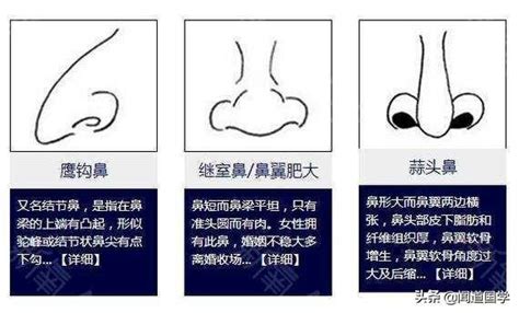 面相 看到鼻孔|十六种鼻子面相图文分析三六风水网